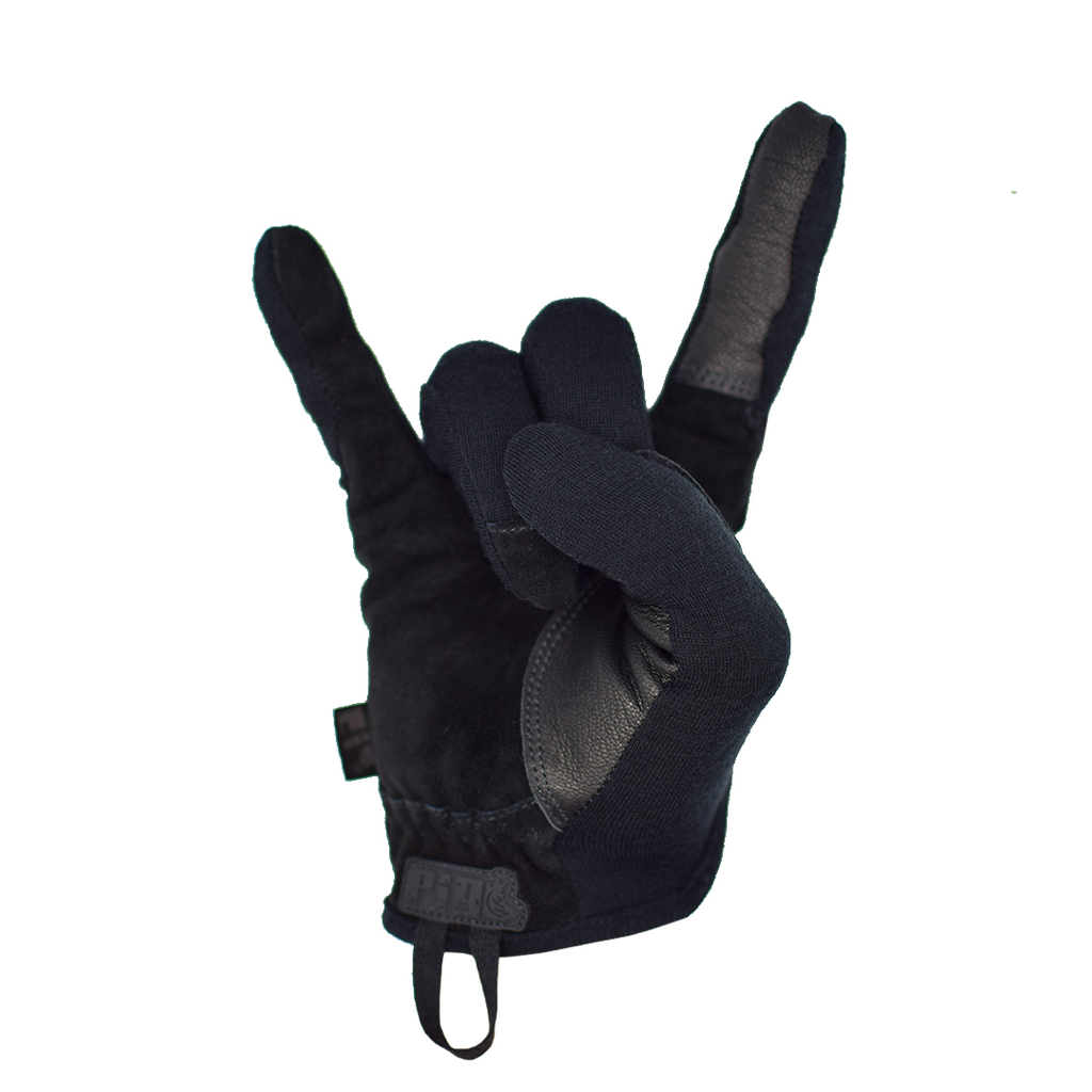 Delta_FR_BL_pose3.webp