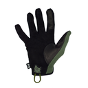 Delta+_RG_palm.webp