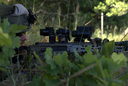 Rifle.webp